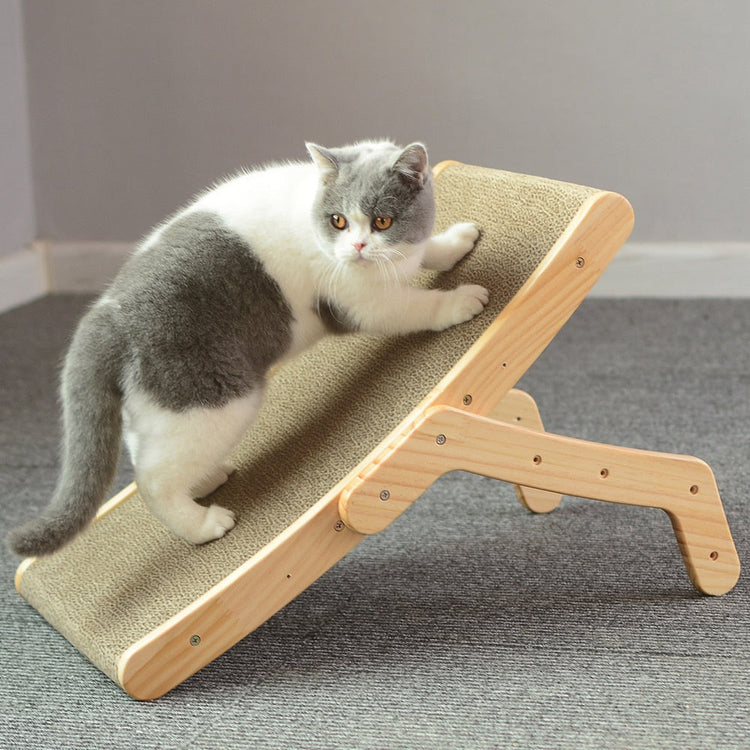 Cats